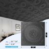 imageArt3d 12Pack Drop Ceiling Tiles 2x2 FT Decorative Easy Install PVC Ceiling Panels for Interior Kitchen Bathroom Basement 24x24 Inch WhiteBlack