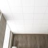 imageArt3d 12Pack Smooth Drop Ceiling Tile 2ft x 2ft  FireRated Waterproof Reusable  Premium PVC No Sag and Breakage  Cover 48 Sq Ft BlackWhite1