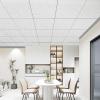 imageArt3d Acoustic Drop Ceiling Tiles 2x2ft 12Pack Soundproof Panels 24x24 for Wall Coverings WhiteSquare Stucco White
