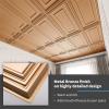 imageArt3d Drop Ceiling Tiles 24x48in Argent Silver 12PackBronze