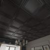 imageArt3d Drop Ceiling Tiles 24x48in Argent Silver 12PackSquare Black