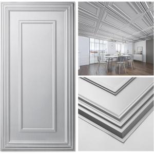imageArt3d Drop Ceiling Tiles 24x48in Argent Silver 12PackSilver