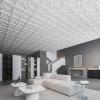 imageArt3d 12Pack Lightweight Drop Ceiling Tiles for Suspended Grid 2x2 ft Ceiling Panels in White Cover 48 SqFtWhite