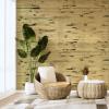 imageArt3d 48 x 96 Inch Natural Bamboo Wall Panel for Interior Wall Decor Flexible Pole Wrap Wainscoting Wall Cladding Paneling for Living Room Bedroom Office Kitchen Island LightcarbonizedLight Burned