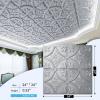 imageArt3d Drop Ceiling Tiles 2x2 Glueup Ceiling Panel Fancy Classic Style Antique CopperArgent Silver