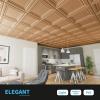 imageArt3d PVC Ceiling Tiles 2x2 Plastic Sheet in Bronze 12PackSilk Bronze