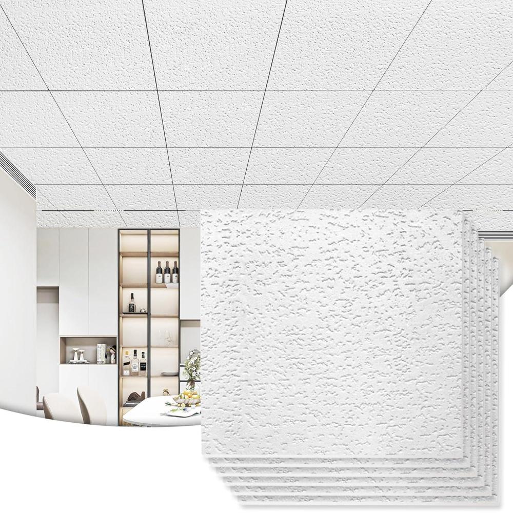 imageArt3d 12Pack Smooth Drop Ceiling Tile 2ft x 2ft  FireRated Waterproof Reusable  Premium PVC No Sag and Breakage  Cover 48 Sq Ft BlackSquare Stucco White