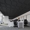 imageArt3d 2x2 Ft Drop Down PVC Ceiling Tiles 3D Textured Glue up Ceiling Panel for Office Living Room Home Decor  12Pack Covers 48 SqFt WhiteBlack