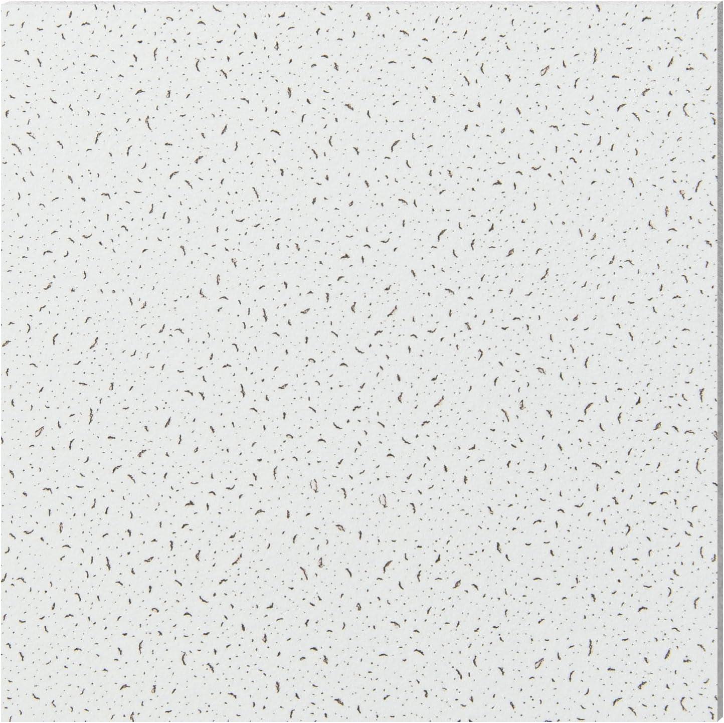 imageArt3d Pro Drop Ceiling Tiles 2ft x 2ft 12Pack Waterproof Polyester Ceiling Panels for Office Basement Kitchen Recording Room ReusableCovers 48 SqFt White Stucco PrintingWhite Stucco Printing