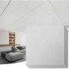 imageArt3d Pro Drop Ceiling Tiles 2ft x 2ft 12Pack Waterproof Polyester Ceiling Panels for Office Basement Kitchen Recording Room ReusableCovers 48 SqFt White Stucco PrintingWhite