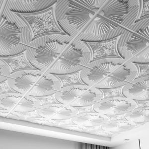 imageArt3d Drop Ceiling Tiles 24x24 in White 12Pack 48 Sqft 3D Wainscoting Panels Glue Up 2x2White