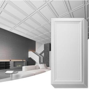 imageArt3d Drop Ceiling Tiles 24x48 Decorative PVC Ceiling Panels Waterproof Rustproof and Durable 12Pack Glue Down Rectangular BlackRectangular White